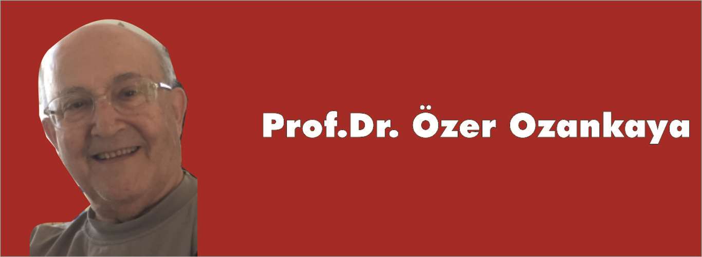 Prof. Dr. Özer Ozankaya 